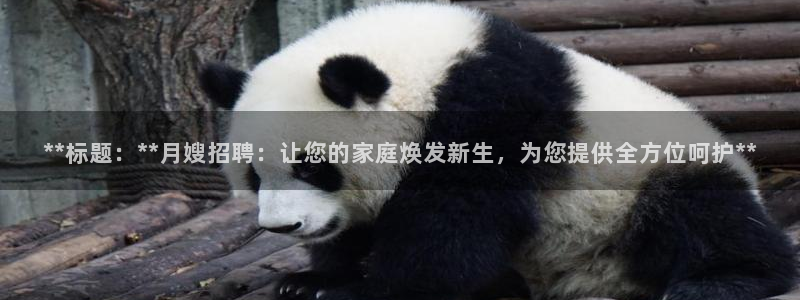 杏悦官方平台官网入口