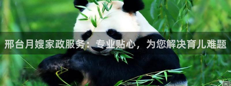 杏悦平台开户地址