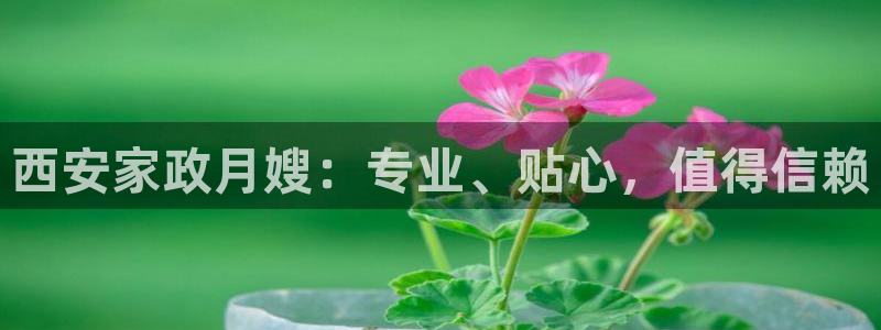 杏悦平台公司介绍