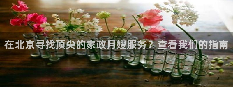杏悦平台代理怎么做的