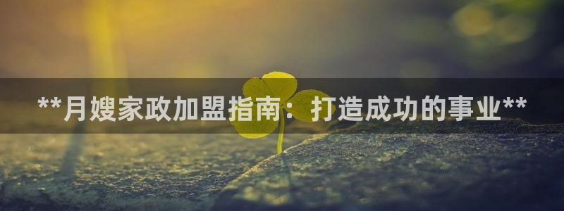 杏悦平台代理多少钱
