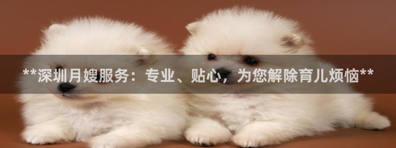 杏悦登陆地址