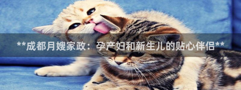 杏悦娱乐是什么