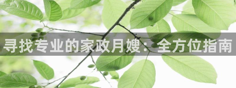 杏悦娱乐平台靠谱吗