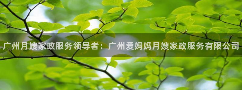 杏悦平台代理怎么样可靠吗
