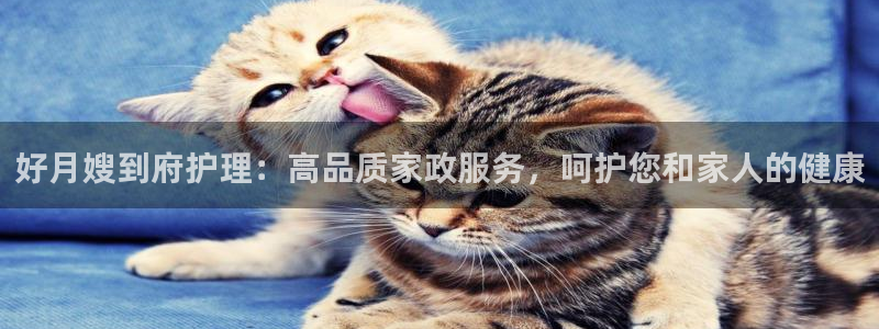 杏悦平台代理怎么样啊