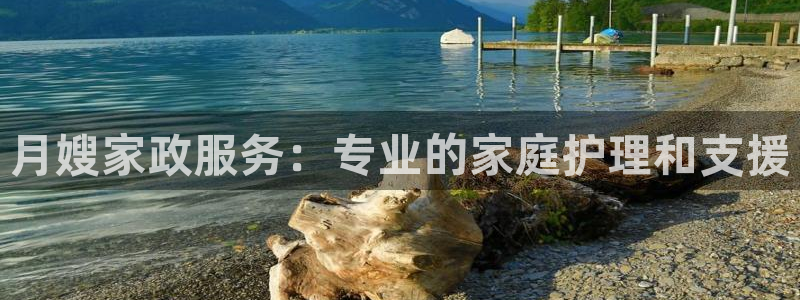 杏悦平台代理怎么做的