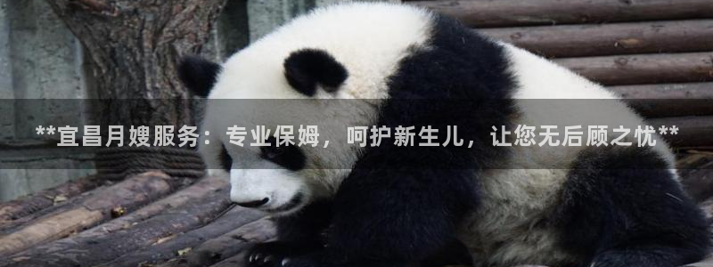 杏悦平台可靠吗可信吗知乎