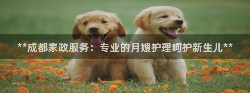杏悦平台可靠吗可信吗知乎