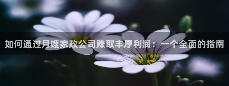 杏悦招商地址