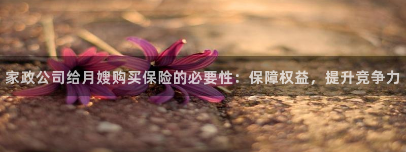 杏悦平台登录网址查询