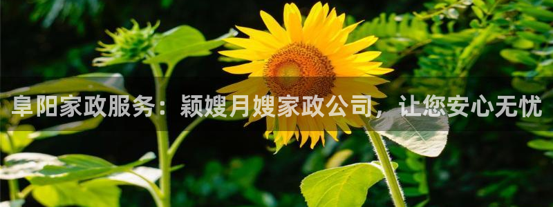 杏悦官网