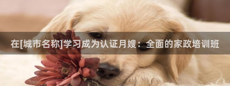 杏悦平台如何