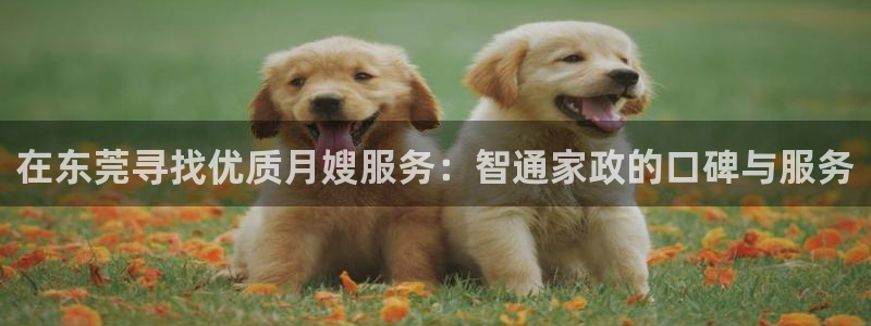 杏悦平台代理怎么样可靠吗