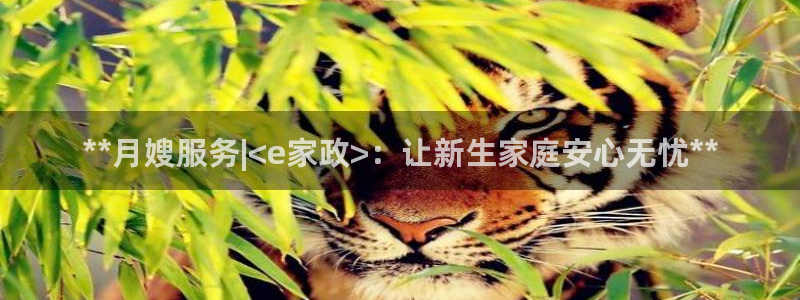 杏悦1登录
