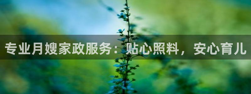 杏悦平台招商电话号码