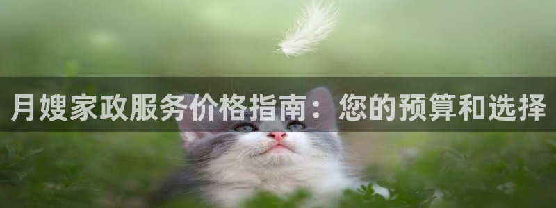 杏悦平台登录