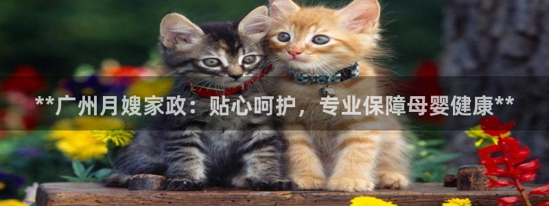 杏悦平台注册流程
