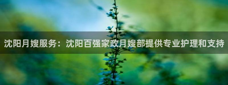杏悦平台注册地址是哪里