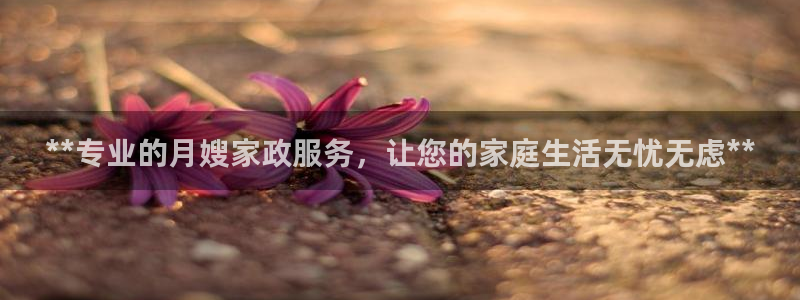 杏悦官网注册信息查询
