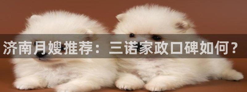 杏悦总代理