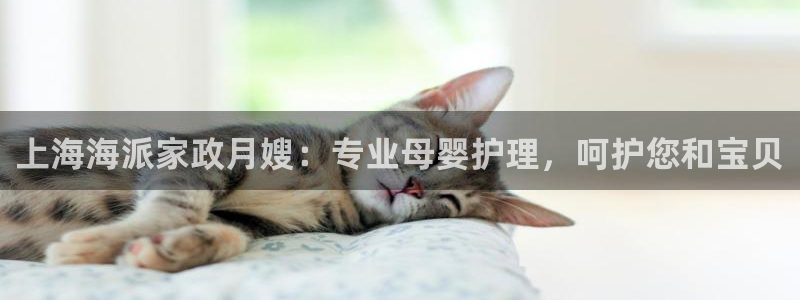 杏悦平台代理怎么样