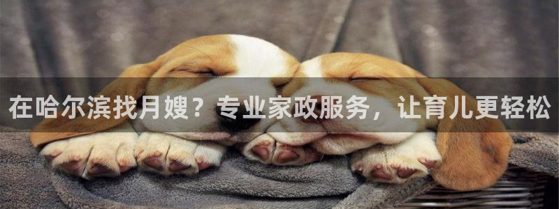 杏悦官网登录入口网址是什么