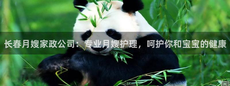 杏悦平台注册网址
