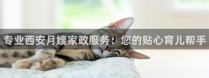 杏悦官网注册信息是什么