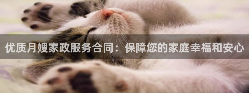 杏悦平台代理注册流程