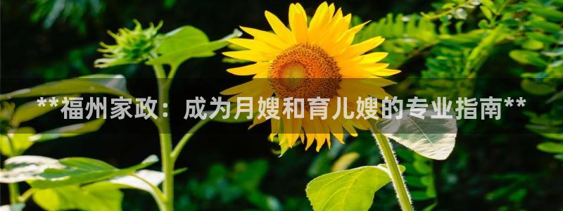 杏悦地址