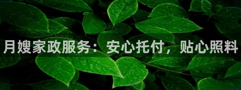 杏悦官网客服