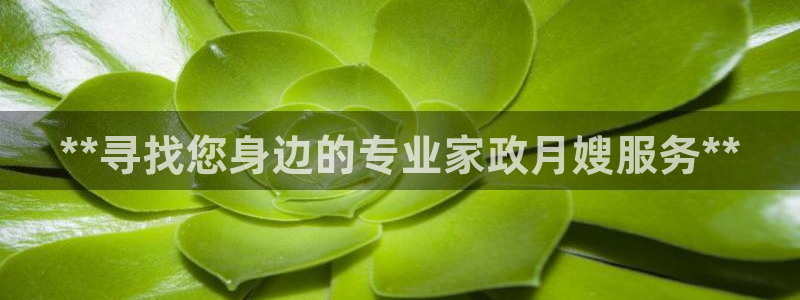 杏悦平台登录地址在哪里