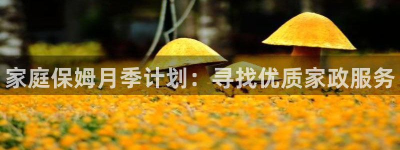 杏悦平台登录网址是多少