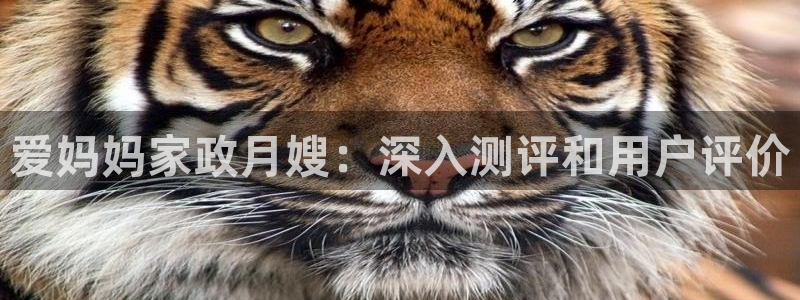 杏悦注册官网