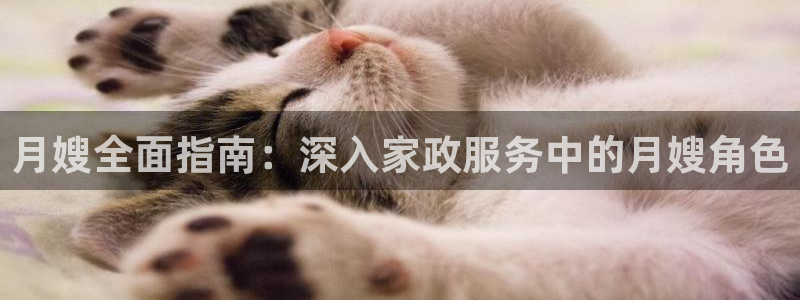 杏悦平台登录
