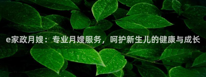 杏悦平台代理多少钱