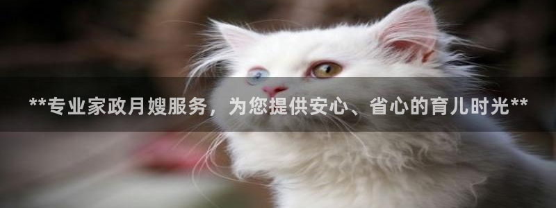 杏悦官方平台官网
