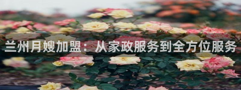杏悦平台开户地址是什么