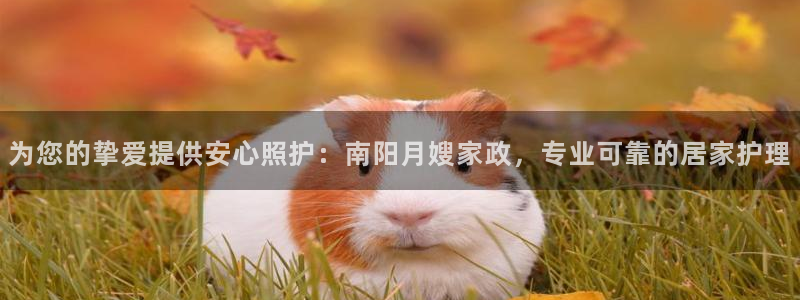 杏悦靠谱吗