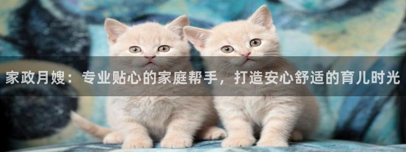 杏悦平台代理怎么赚钱