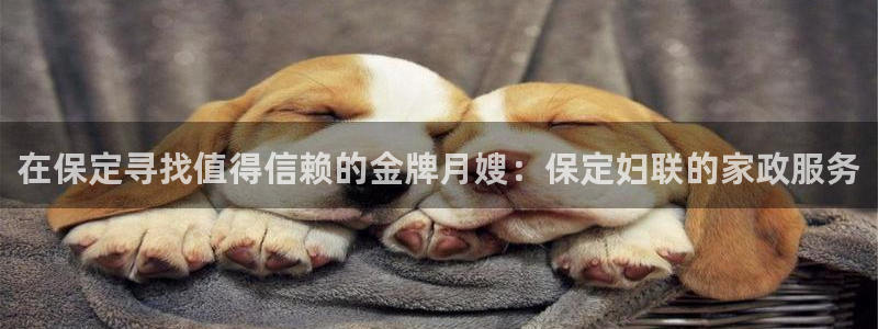 杏悦官方平台官网