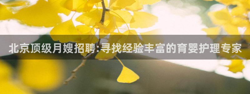 杏悦是什么平台