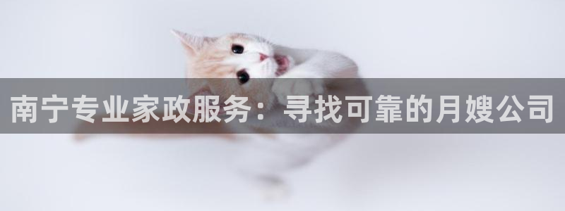 杏悦娱乐怎么玩