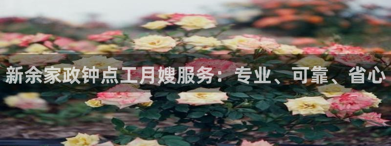 杏悦娱乐平台靠谱吗