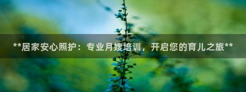 杏悦平台可靠吗可信吗安全吗