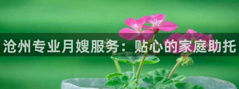杏悦平台