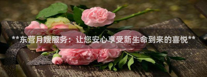 杏悦平台招商怎么样