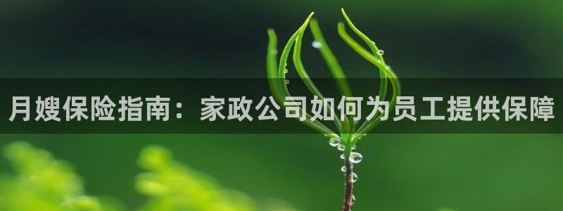 杏悦平台如何