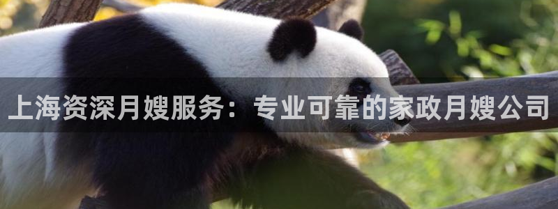 杏悦平台主管